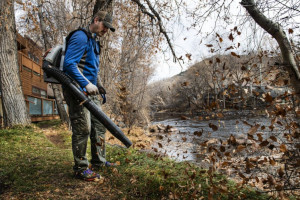 Man with leaf blower pack blowing leaves in fall